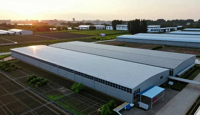 外墙清洗服务如何适应城市更新与建筑维护需求